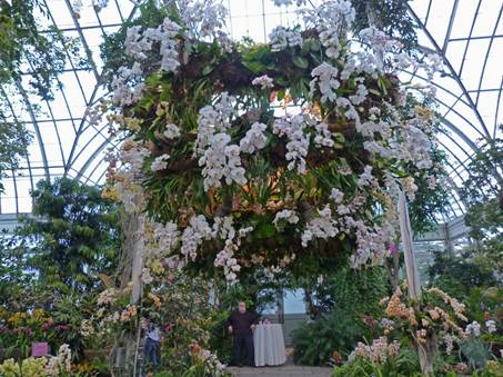 Orkide Show I New York Botanical Garden