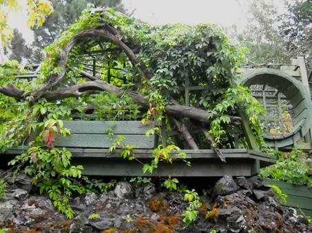 Bob and Claudias garden in Idaho