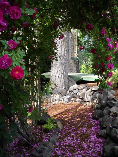 Bob and Claudias garden in Idaho