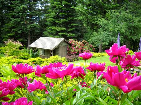 Bob and Claudias garden in Idaho