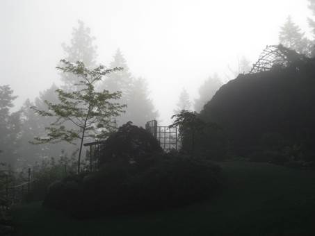 Bob and Claudias garden in Idaho