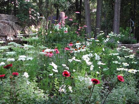 Sandys garden in Connecticut