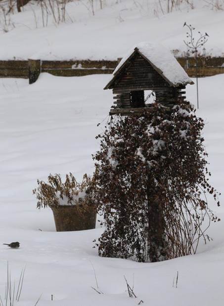 Vinter og sommer venner i Beths have i Iowa