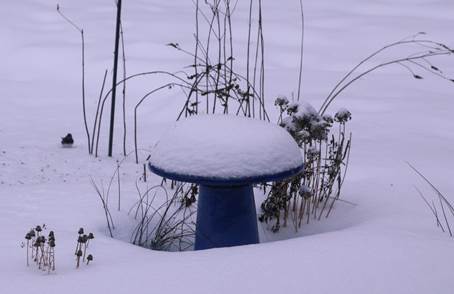 Vinter og sommer venner i Beths have i Iowa