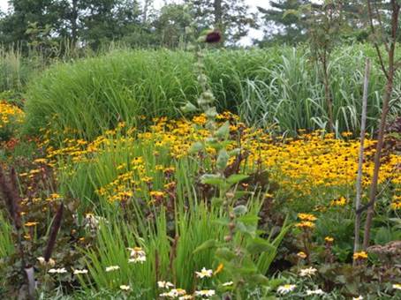 Alicias besøg i the Coastal Maine Botanical Gardens