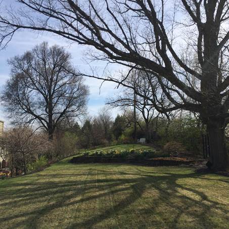 Forår i Dougs have i Pennsylvania