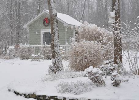 Vinter i Teries have i New York