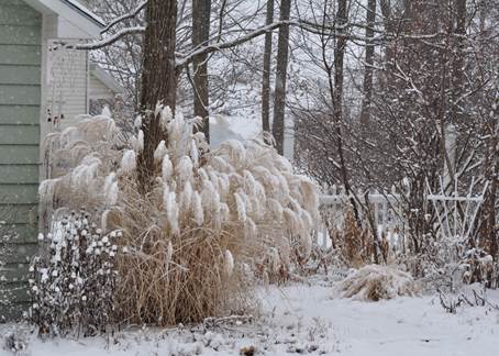 Vinter i Teries have i New York