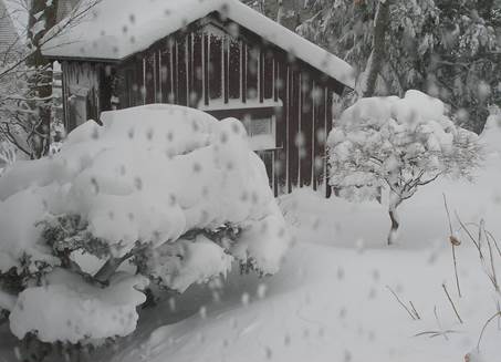 Vinter i Kathys have i Massachusetts