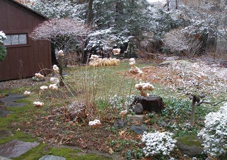 Vinter i Kathys have i Massachusetts